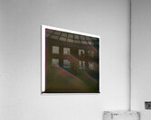 417 8K Acrylic Print