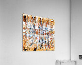 477 8K Acrylic Print