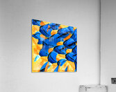 492 8K Acrylic Print