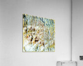 500 8K Acrylic Print