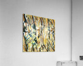 491 8K Acrylic Print