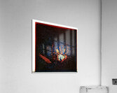 467 8K Acrylic Print