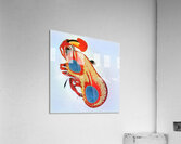 516 8K Acrylic Print