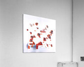 501 8K Acrylic Print