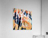 511 8K Acrylic Print