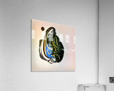 531 8K Acrylic Print