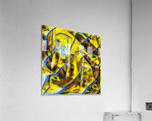 517 8K Acrylic Print