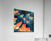 541 8K Acrylic Print