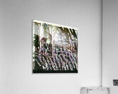 534 8K Acrylic Print