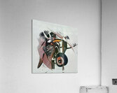 591 8K Acrylic Print