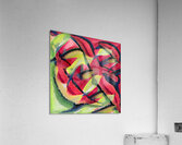 585 8K Acrylic Print