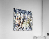 578 8K Acrylic Print