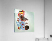 569 8K Acrylic Print