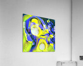 556 8K Acrylic Print