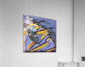 608 8K Acrylic Print