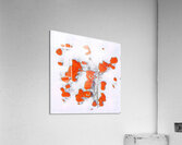 602 8K Acrylic Print