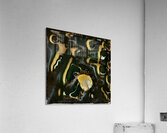 605 8K Acrylic Print