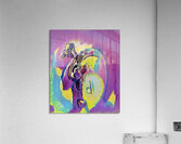 632 8K Acrylic Print