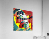 634 8K Acrylic Print