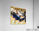 628 8K Acrylic Print