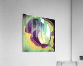 657 8K Acrylic Print