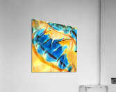 663 8K Acrylic Print