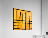 669 8K Acrylic Print