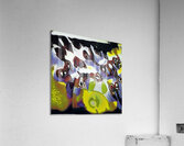691 8K Acrylic Print