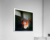 693 8K Acrylic Print