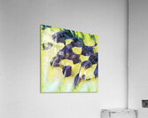 683 8K Acrylic Print