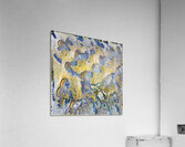 715 8K Acrylic Print