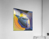 740 8K Acrylic Print