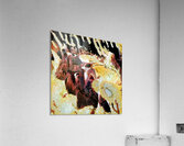 756 8K Acrylic Print