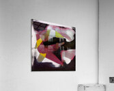 782 8K Acrylic Print