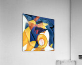 830 8K Acrylic Print