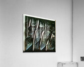 797 8K Acrylic Print