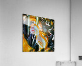 829 8K Acrylic Print