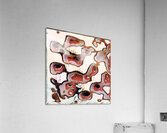 824 8K Acrylic Print