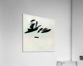 825 8K Acrylic Print