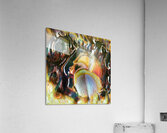 822 8K Acrylic Print