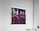 834 8K Acrylic Print