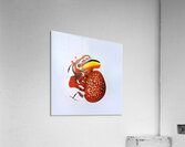 882 8K Acrylic Print