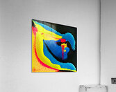 879 8K Acrylic Print