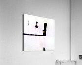 883 8K Acrylic Print