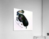 895 8K Acrylic Print