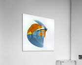 924 8K Acrylic Print