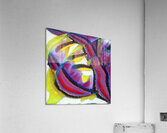 933 8K Acrylic Print