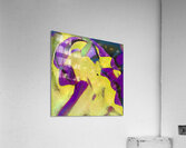 962 8K Acrylic Print