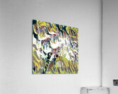 961 8K Acrylic Print