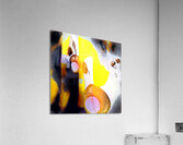 990 8K Acrylic Print